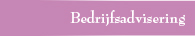 MyGuardian - Bedrijfsadvisering